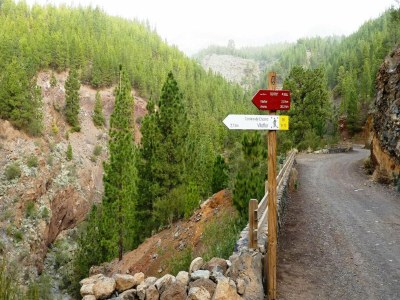 Cottage Holiday Home in Tenerife with Private Garden - Outdoor photo 37