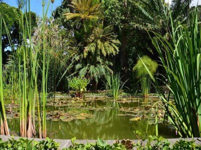 Holiday house Ferienhaus in Puerto nahe Playa Jardín - Outdoor photo 2