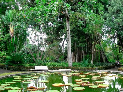 Holiday house Ferienhaus in Puerto nahe Playa Jardín - Outdoor photo 8