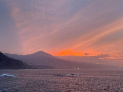 Holiday house Ferienhaus in Puerto nahe Playa Jardín - Environment photo 29