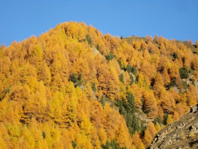 Holiday apartment Morgentau - Environment photo 17