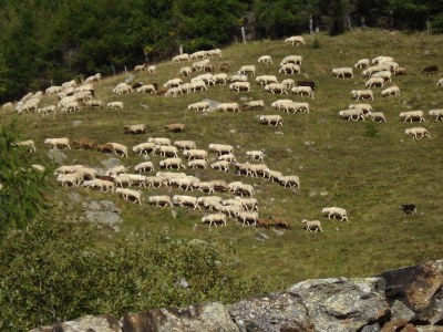 Holiday apartment Morgentau - Environment photo 19