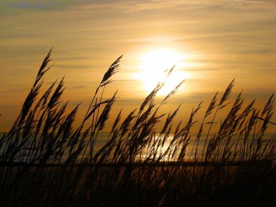 Bungalow de Ruiser 2 - Environment photo 22