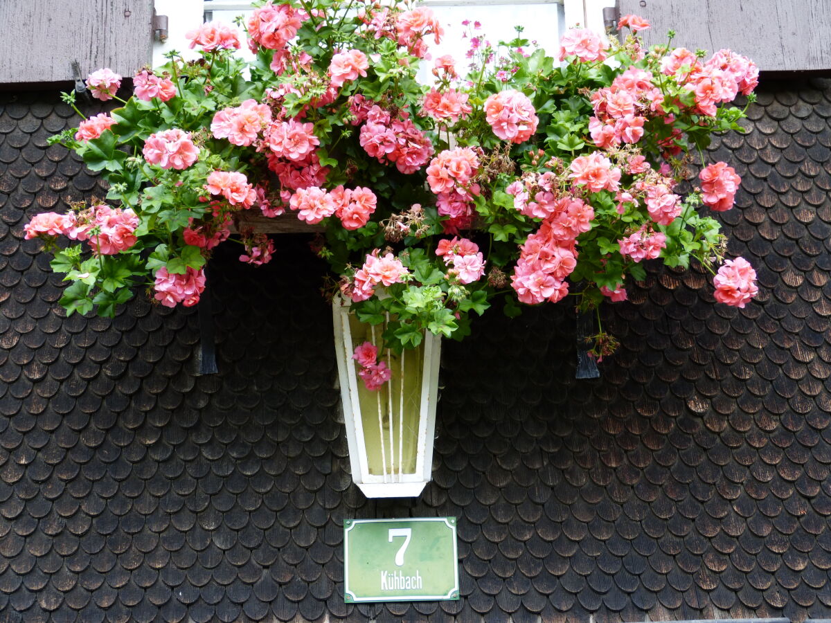 Holiday apartment Hiemer 2 - Outdoor photo 2