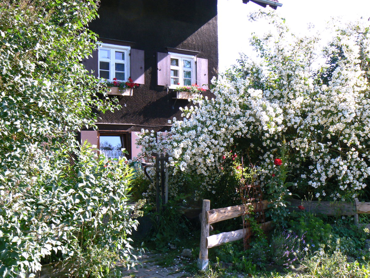 Holiday apartment Hiemer 2 - Outdoor photo 4