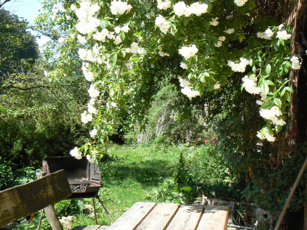 Holiday apartment Hiemer 2 - Outdoor photo 5