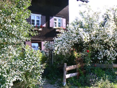 Holiday apartment Hiemer 2 - Outdoor photo 4