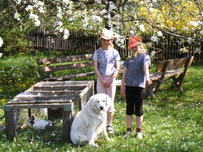 Holiday apartment Hiemer 2 - Outdoor photo 7