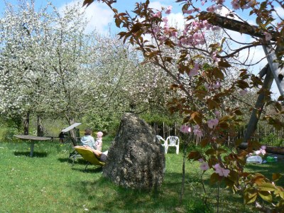 Holiday apartment Hiemer 2 - Outdoor photo 8