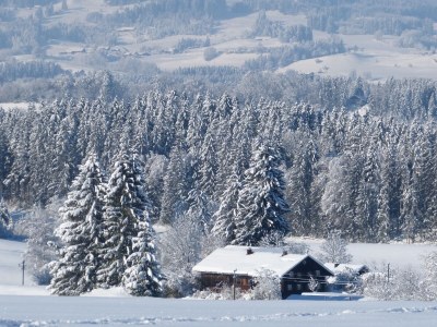 Holiday apartment Hiemer 2 - Outdoor photo 13