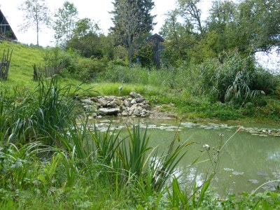 Holiday apartment Hiemer 2 - Outdoor photo 14