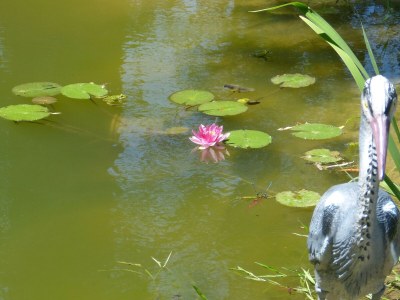 Holiday apartment Hiemer 2 - Outdoor photo 15