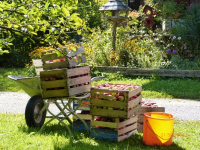 Holiday apartment Hiemer 2 - Outdoor photo 18