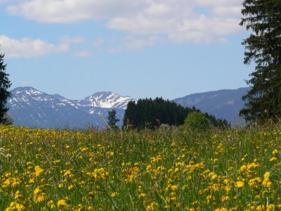 Holiday apartment Hiemer 2 - Outdoor photo 20