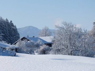 Holiday apartment Hiemer 2 - Outdoor photo 21