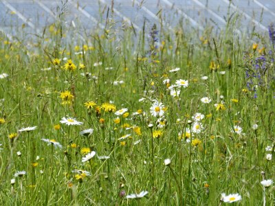 Holiday apartment Hiemer 2 - Outdoor photo 22