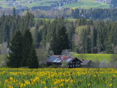 Holiday apartment Hiemer 2 - Outdoor photo 24