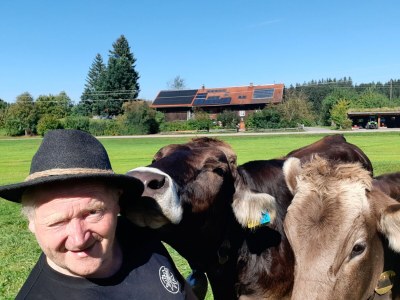 Holiday apartment Hiemer 2 - Outdoor photo 26