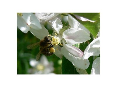 Holiday apartment Hiemer 2 - Outdoor photo 27