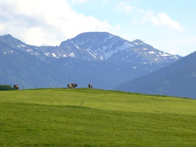 Holiday apartment Hiemer 2 - Environment photo 35