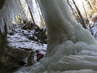 Holiday apartment Hiemer 2 - Environment photo 38