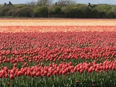 Holiday house KÃ¼sters - Outdoor photo 2