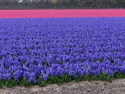 Holiday house KÃ¼sters - Environment photo 23