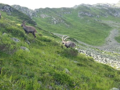 Apartment Appartement/Fewo, 2 Dusche, WC, 2 Schlafräume - Outdoor photo 25