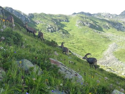 Apartment Appartement/Fewo, 2 Dusche, WC, 2 Schlafräume - Outdoor photo 30