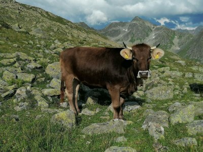 Apartment Appartement/Fewo, 2 Dusche, WC, 2 Schlafräume - Outdoor photo 31