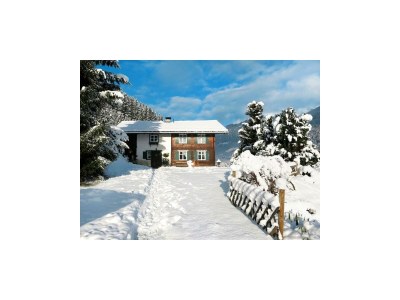 Apartment Ferienhaus Helga in St. Gallenkirch-Gortipohl - Apartment