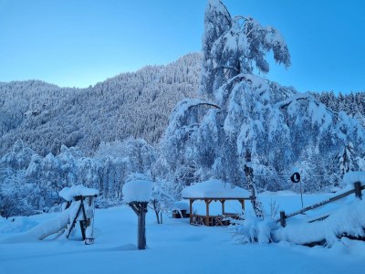 Apartment Appartement/Fewo Nr. 2, Dusche, WC, 3 Schlafräume - Outdoor photo 8