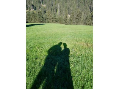 Apartment Apartment im Haus Wiesenweg - Outdoor photo 10