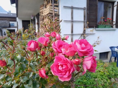 Apartment Apartment im Haus Wiesenweg - Outdoor photo 15