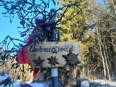 Apartment Apartment im Haus Wiesenweg - Outdoor photo 27