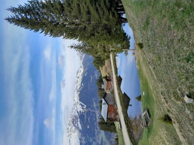 Apartment Apartment im Haus Wiesenweg - Outdoor photo 28