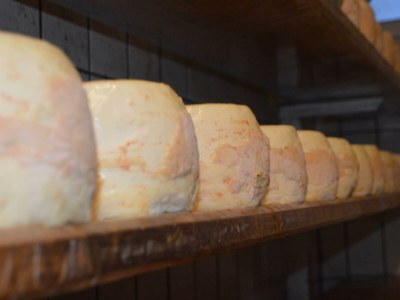 Apartment Apartment Blasblei mit Bad, WC, 2 Schlafzimmer - Outdoor photo 16