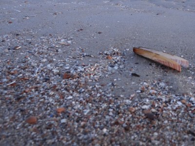 Holiday apartment Koppejan 1AC - Environment photo 19