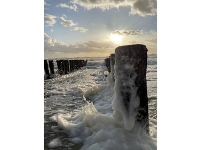 Holiday apartment Koppejan 1AC - Environment photo 21