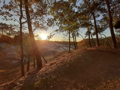 Holiday apartment Koppejan 1AC - Environment photo 24