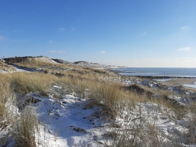 Holiday apartment Koppejan 1AC - Environment photo 25