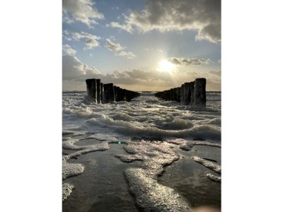 Holiday apartment Koppejan 1AC - Environment photo 29