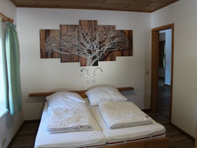 Apartment 4-Bettwohnung unten - Features photo 15