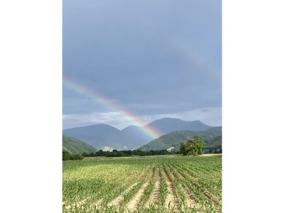 Holiday apartment No title - Environment photo 13