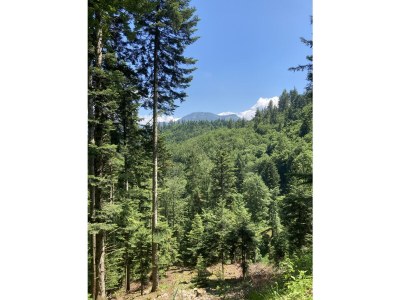 Holiday apartment No title - Environment photo 18