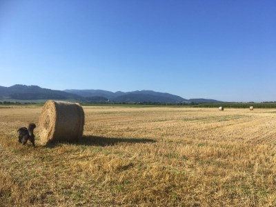 Holiday apartment No title - Environment photo 19