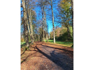 Apartment Steffi - Features photo 50