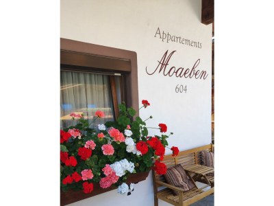 Apartment Appartement Galtenberg - Outdoor photo 6