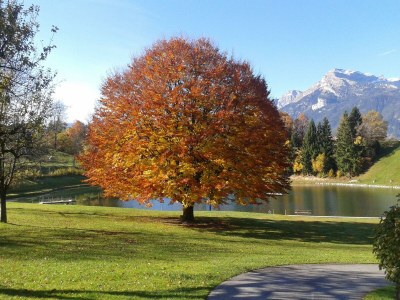 Apartment Appartement Galtenberg - Outdoor photo 12