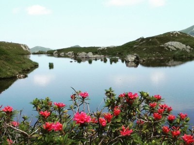 Apartment Appartement Galtenberg - Outdoor photo 26